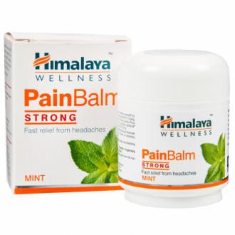 Buy Himalaya Pain Balm Strong (Mint) 45 gm Online ...